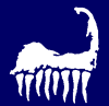 Cape Cod Frosty logo